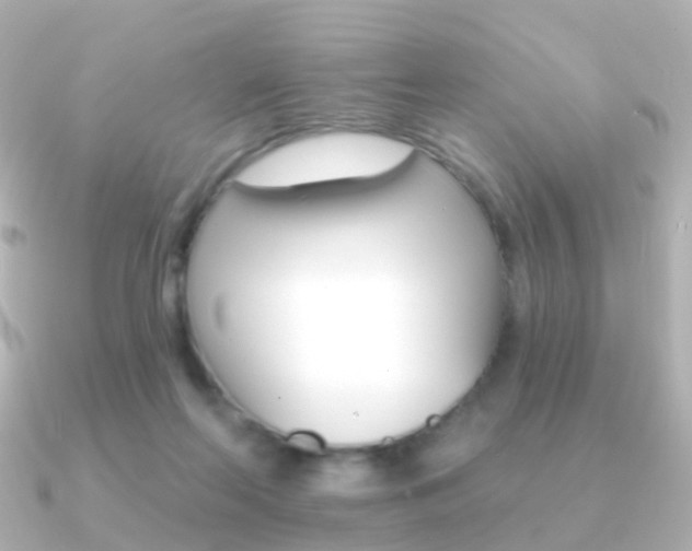 X0000091330214200708101007