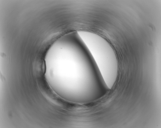 X0000091330215200708101007