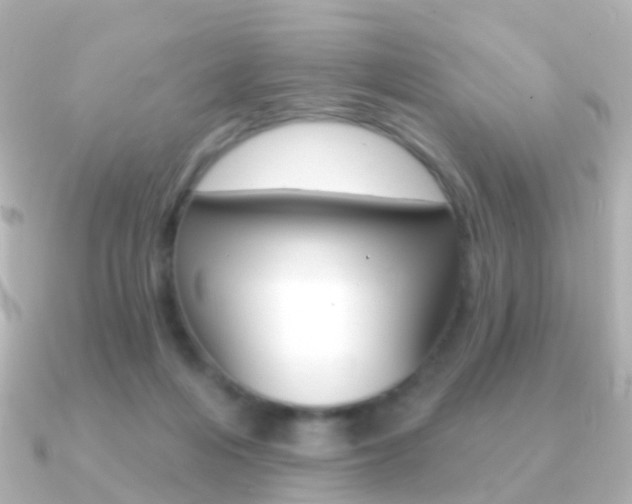 X0000091330216200708101007