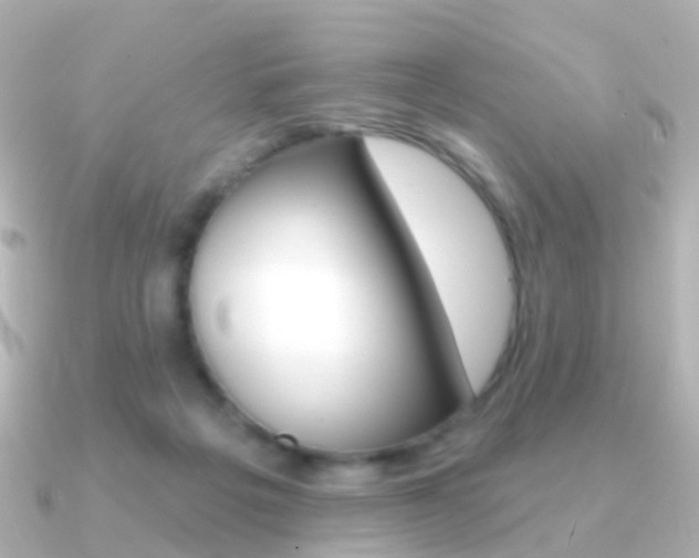 X0000091330217200708101007