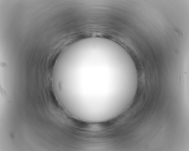 X0000091330218200708101007
