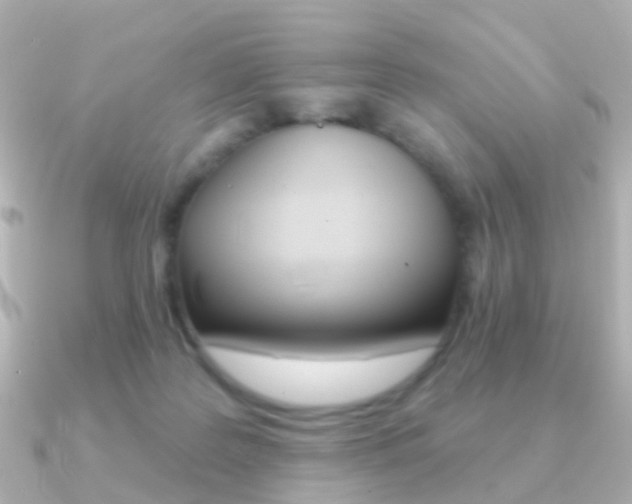 X0000091330219200708101007