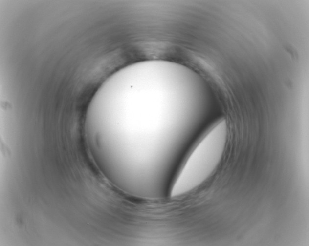 X0000091330221200708101007