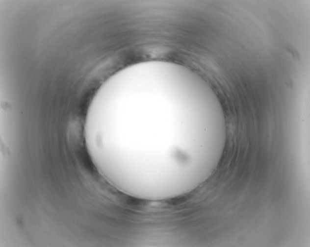 X0000091330222200708101007