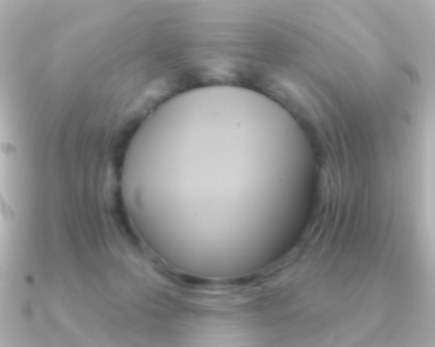 X0000091330223200708101007