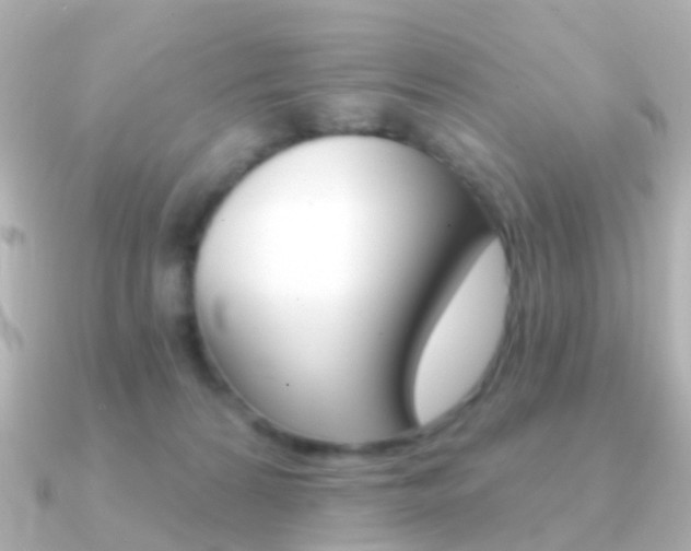 X0000091330224200708101007