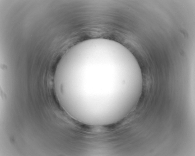 X0000091330226200708101007