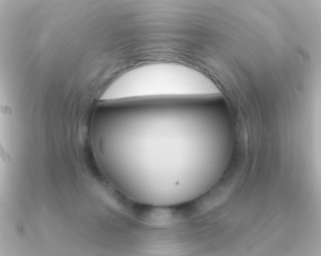X0000091330227200708101007