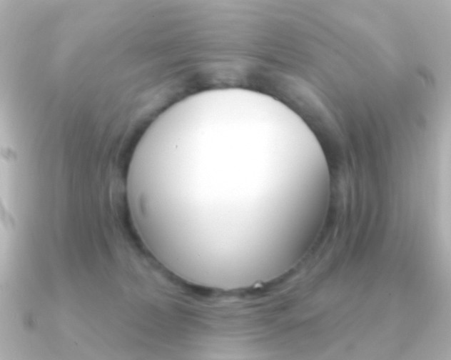 X0000091330228200708101007