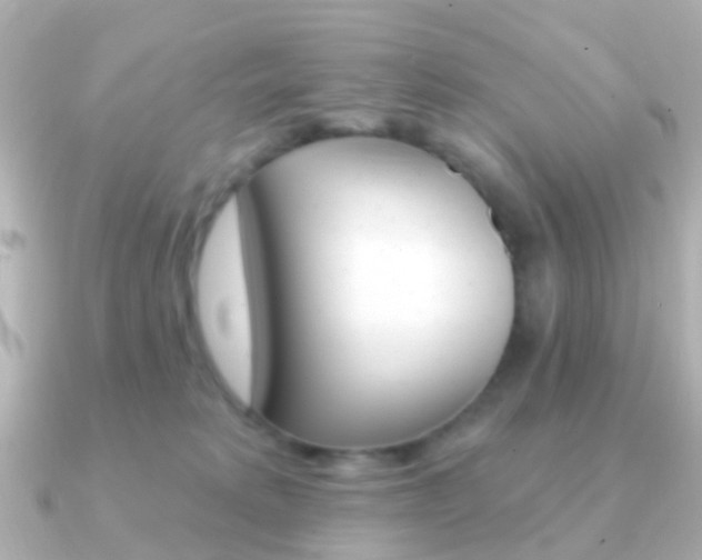 X0000091330229200708101007
