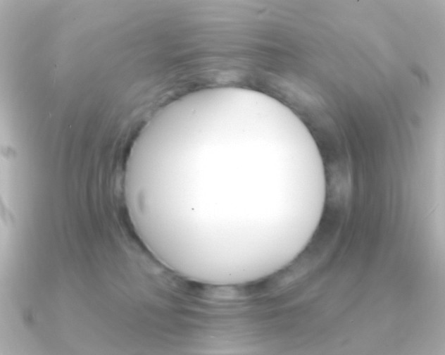 X0000091330230200708101007
