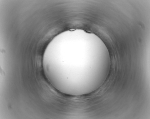 X0000091330232200708101007