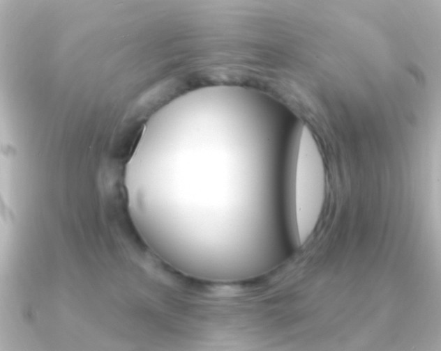X0000091330233200708101007