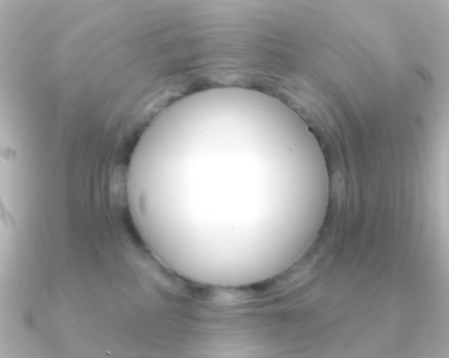 X0000091330234200708101007