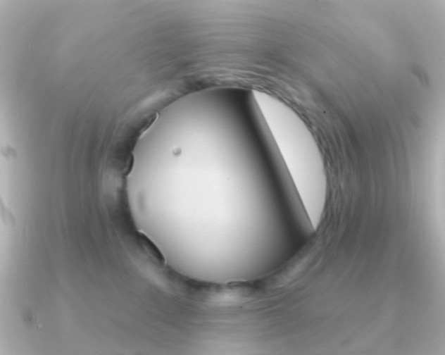 X0000091330235200708101007