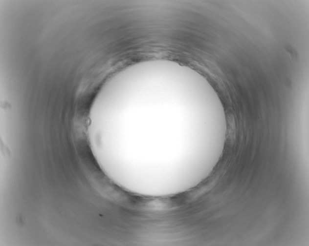 X0000091330236200708101007