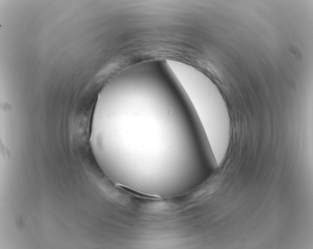 X0000091330237200708101007