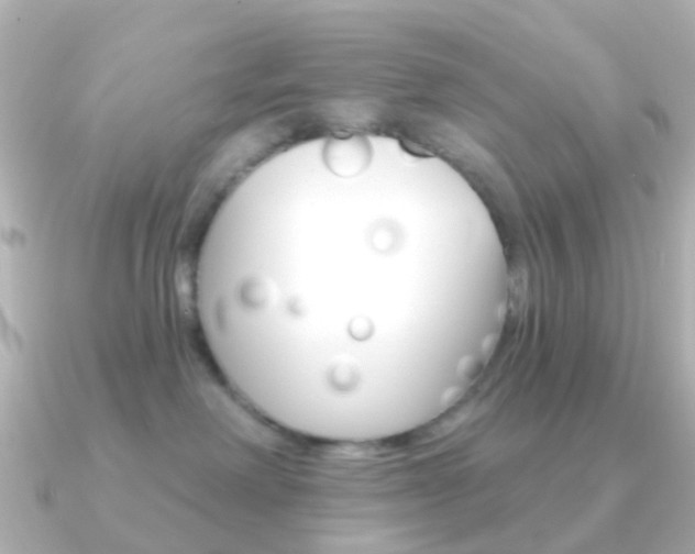 X0000091330238200708101007