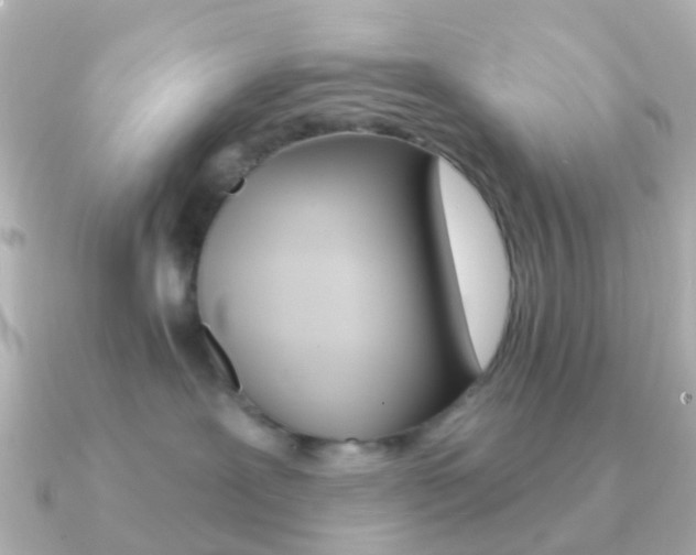 X0000091330239200708101007