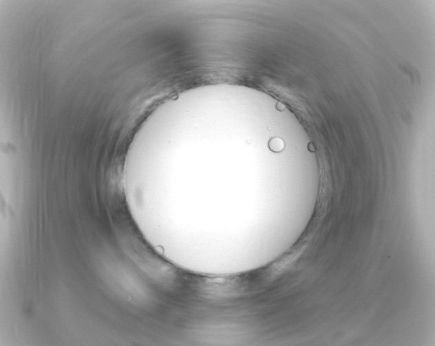 X0000091330240200708101007