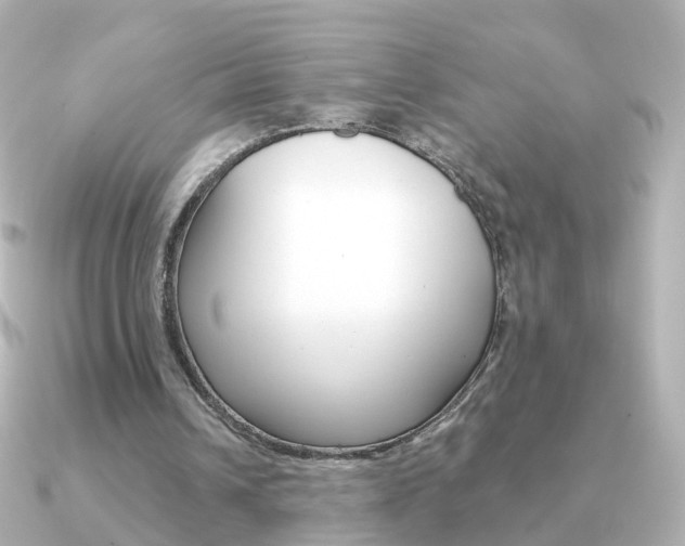 X0000091330242200708101006