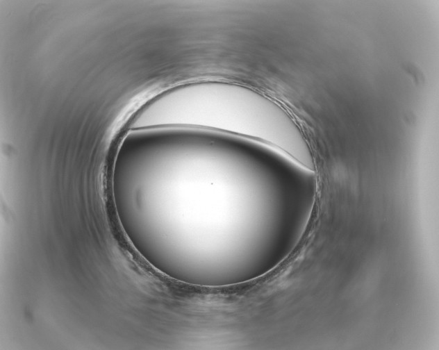 X0000091330244200708101006