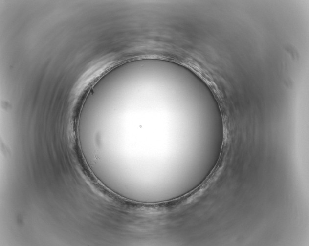 X0000091330245200708101006