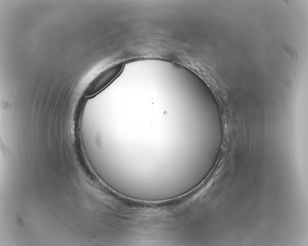 X0000091330246200708101006