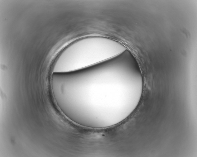 X0000091330247200708101006