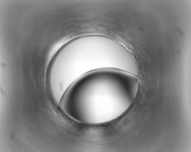 X0000091330248200708101006