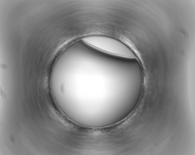 X0000091330249200708101006