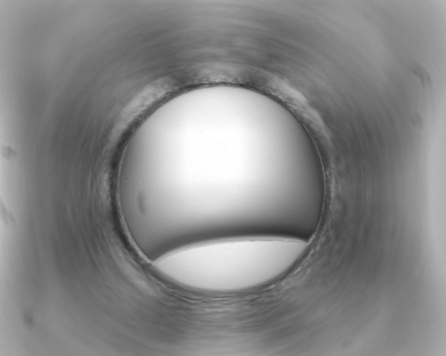 X0000091330250200708101006