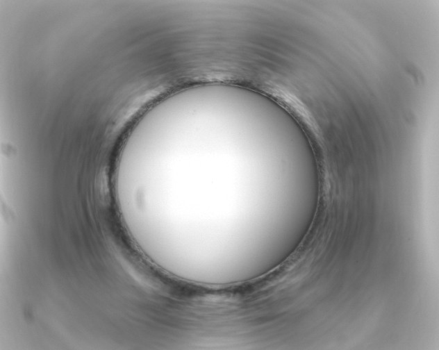 X0000091330251200708101007