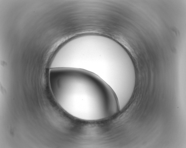 X0000091330252200708101007