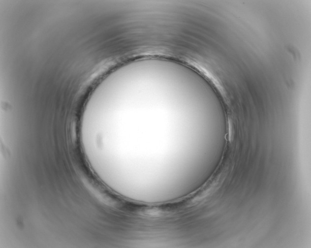 X0000091330253200708101007