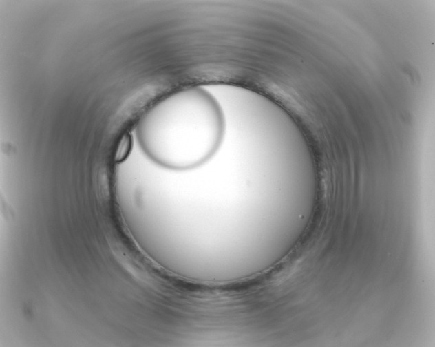 X0000091330254200708101007