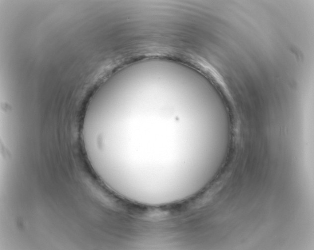 X0000091330257200708101007