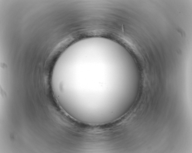 X0000091330258200708101007
