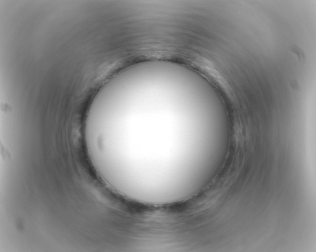 X0000091330259200708101007