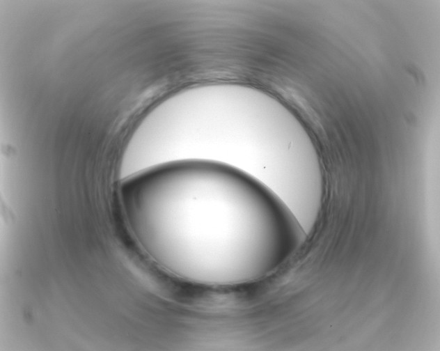 X0000091330260200708101007