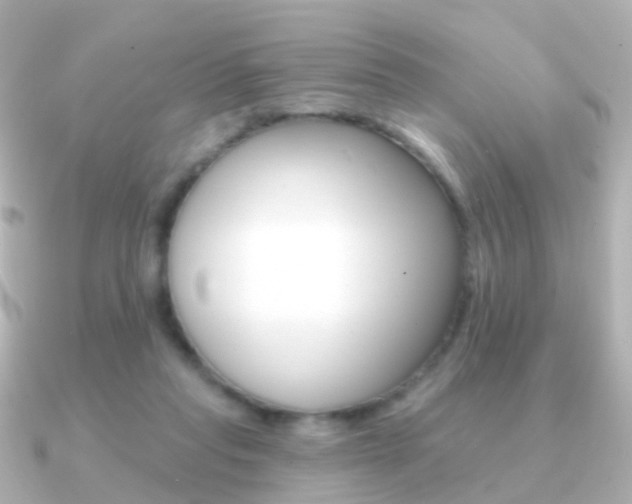 X0000091330261200708101007
