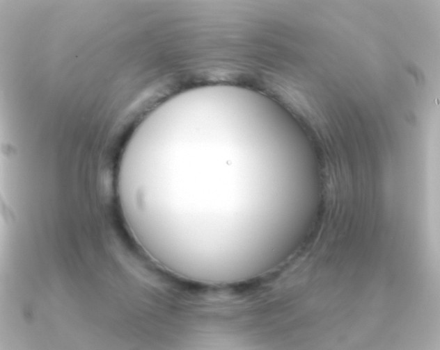 X0000091330262200708101007