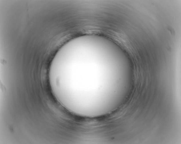 X0000091330263200708101007
