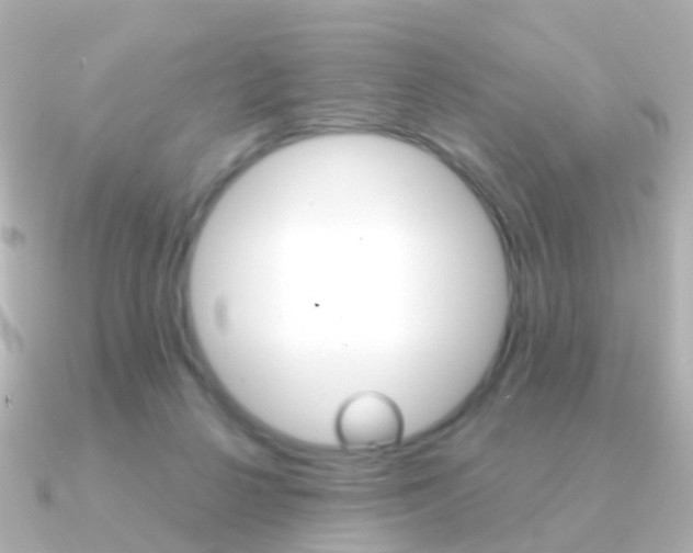 X0000091330264200708101007