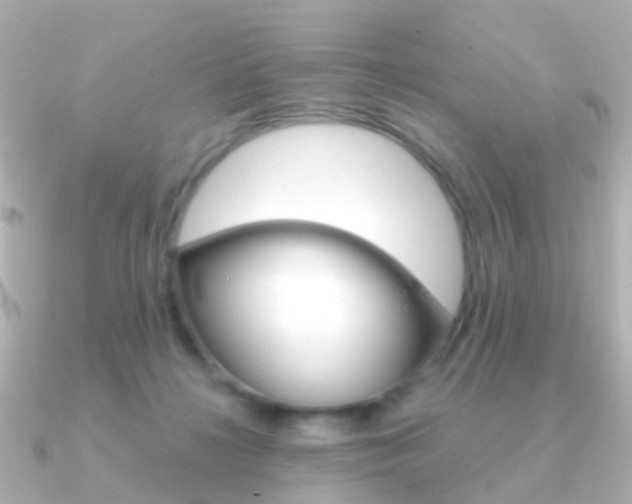 X0000091330268200708101007