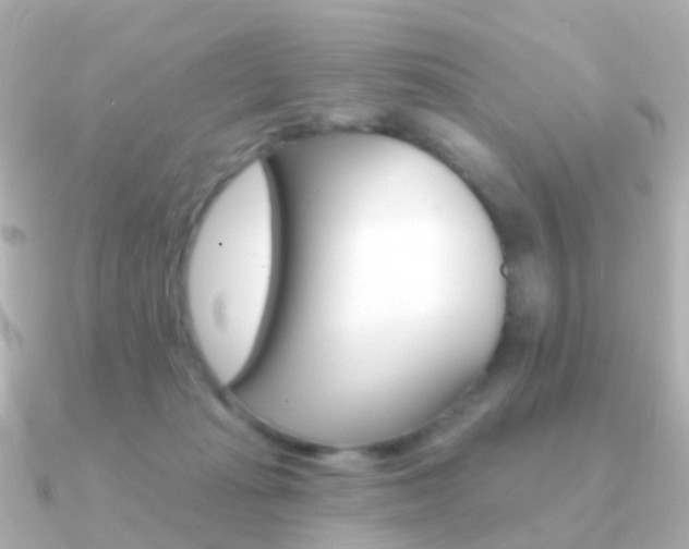 X0000091330269200708101007