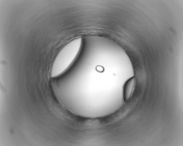 X0000091330271200708101007