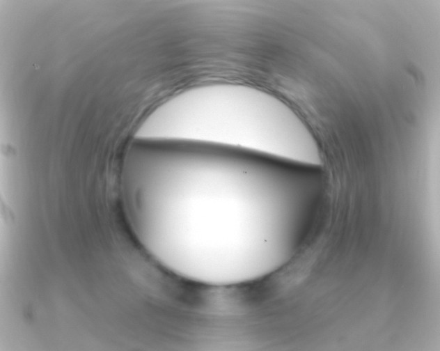 X0000091330273200708101007