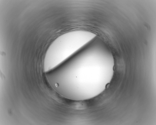X0000091330275200708101007