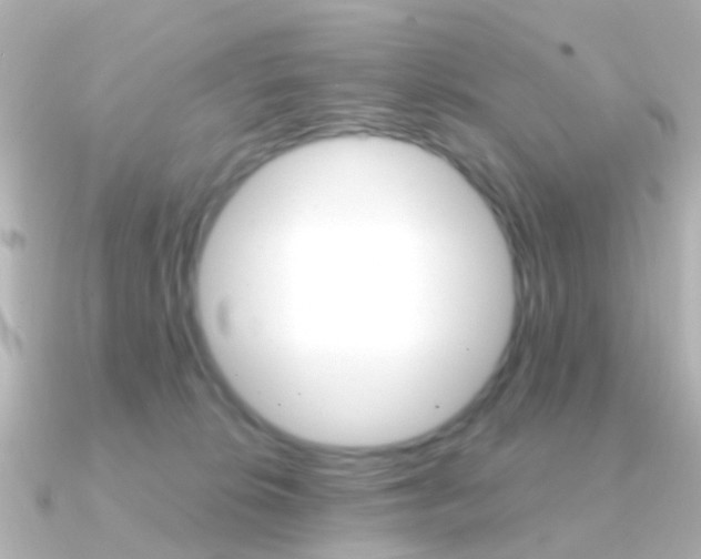 X0000091330276200708101007
